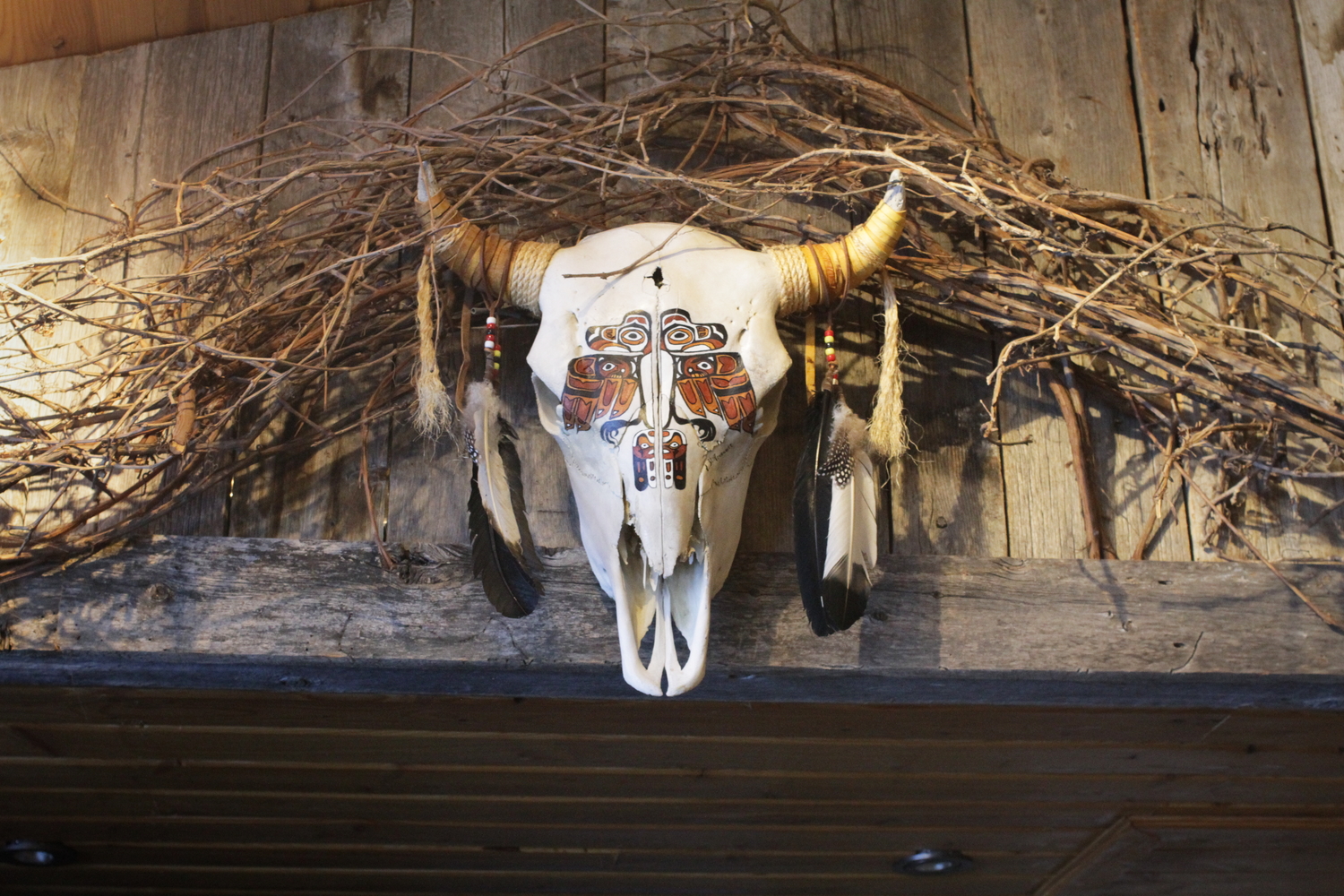 Un crâne de bison peint.