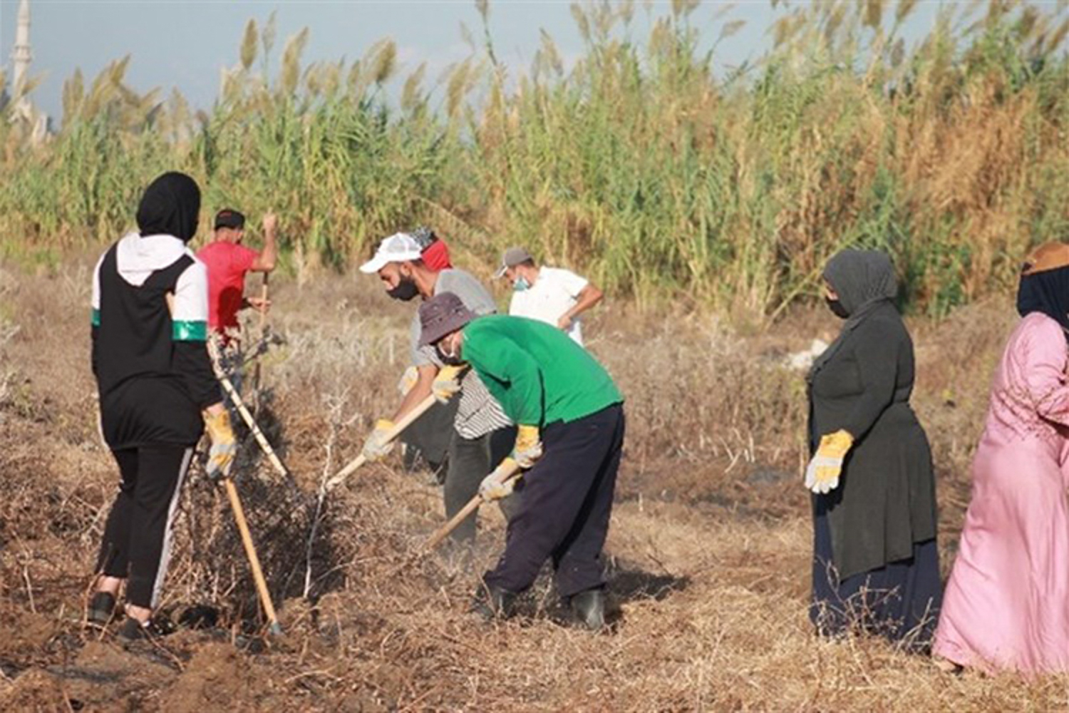 L’organisation a engagé avec elle plus d’une centaine de communautés dans la gestion durable des forêts libanaises. ©lri