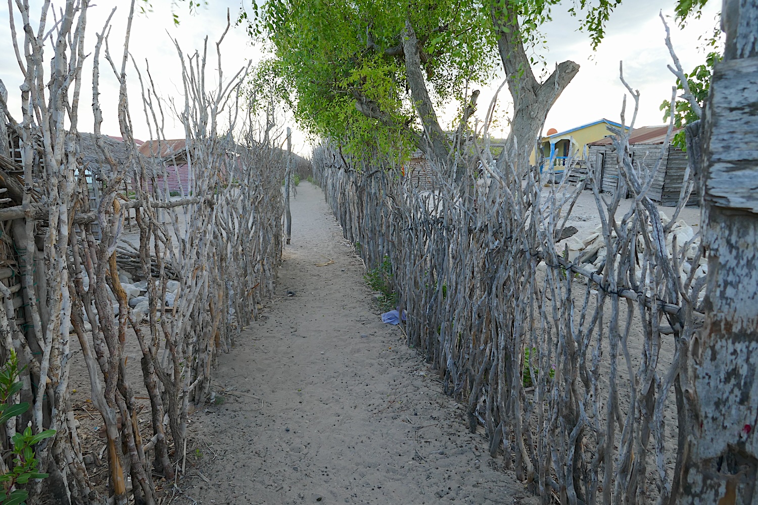 Dans le village d’Ambola, les chemins sont en sable. Les rues sont marquées par les clôtures des maisons © Globe Reporters