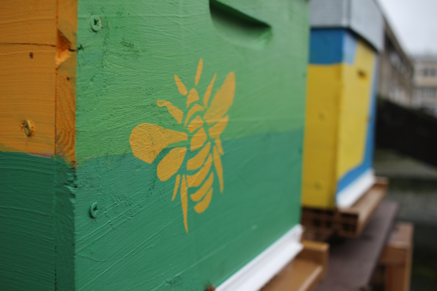 Sur les ruches peintes en vert, jaune ou bleu, des abeilles pochoirs ont été dessinées © Globe Reporters