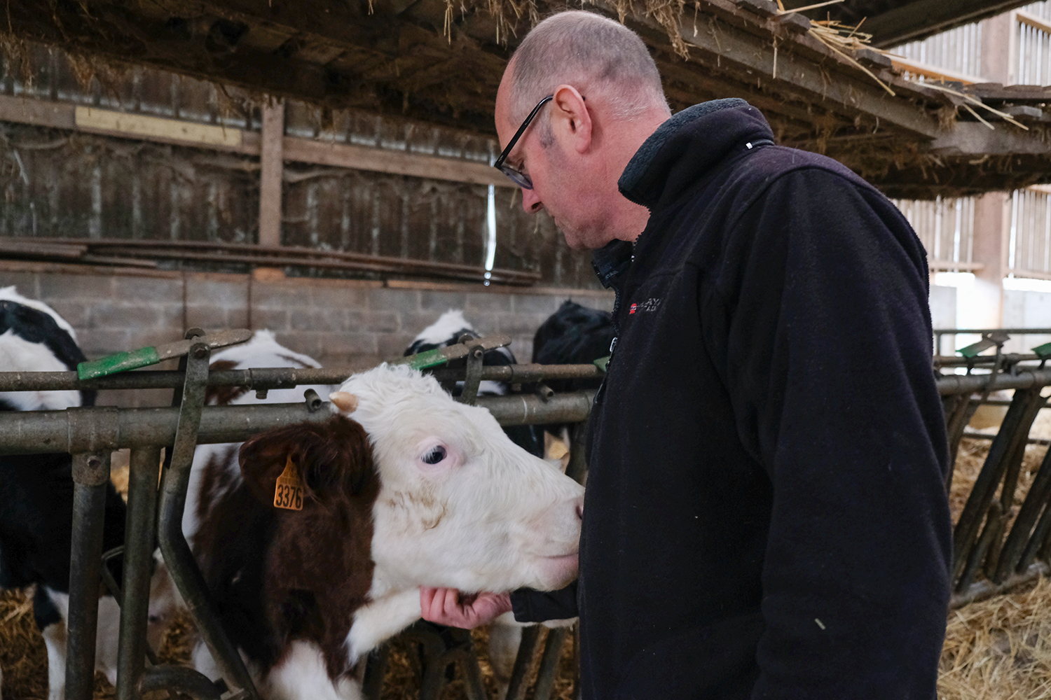 Hervé LINGRAND a choisi de passer en agriculture biologique au moment de la crise du lait de 2009. Et il est satisfait de ce choix aujourd’hui. 
