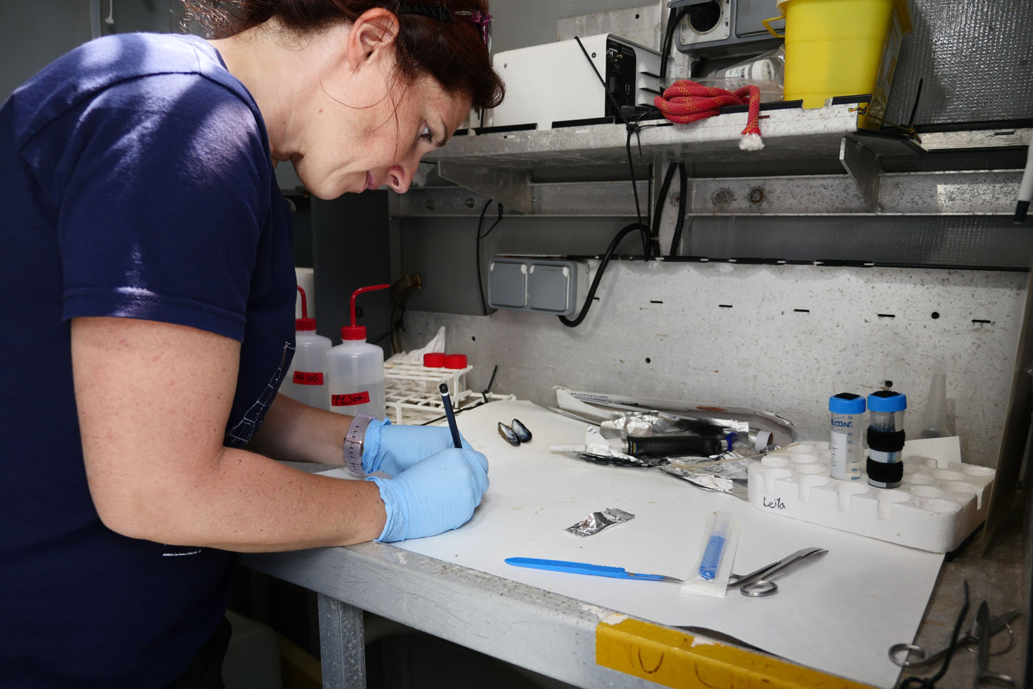 La scientifique Leila MEISTERTZHEIM en pleine dissection de mollusques dans le labo sec © Élodie Bernollin - Fondation Tara Océan