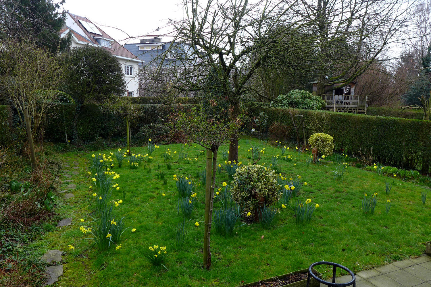 Le printemps est proche dans le petit jardin de la Maison blanche © Globe Reporters